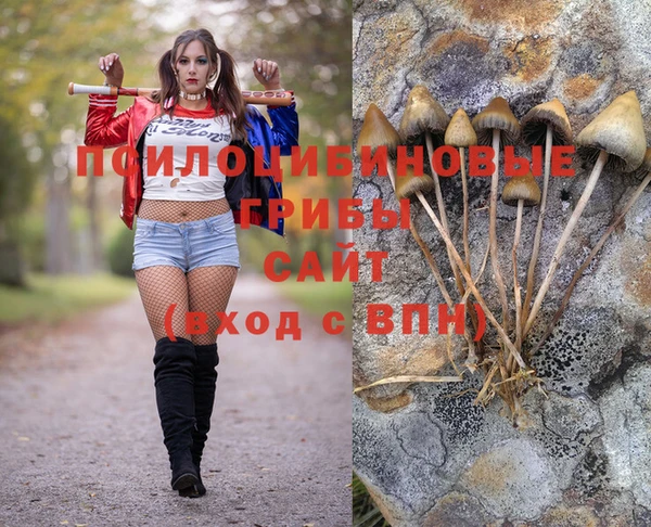 спиды Аркадак