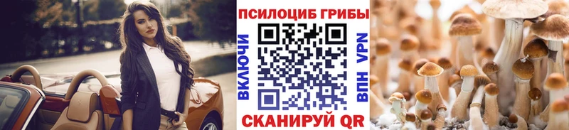Псилоцибиновые грибы Psilocybe  Протвино 